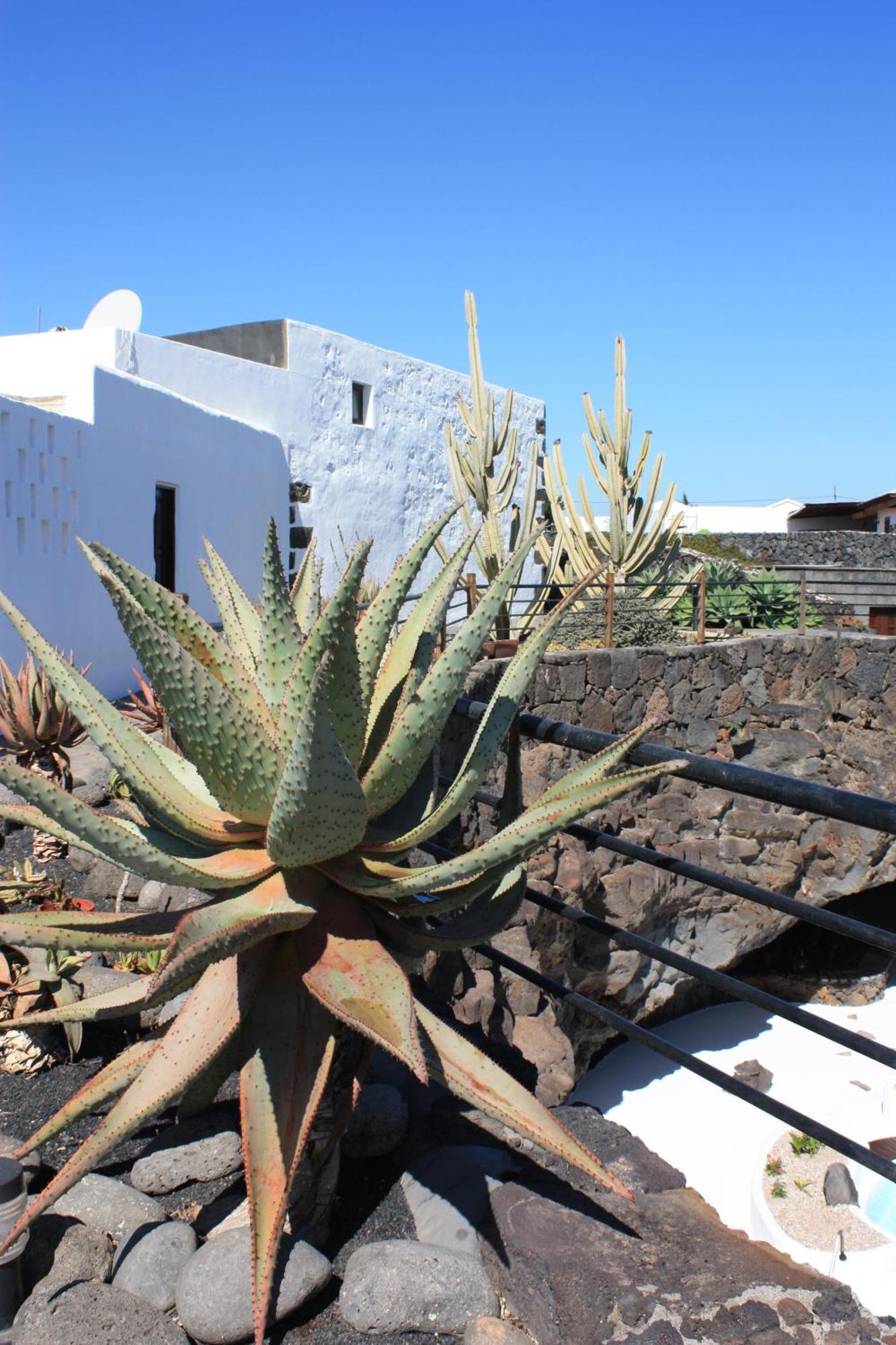 Casa Rural Finca Isabel Mozaga Luaran gambar